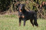 BEAUCERON 1007